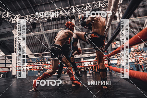 Buy your photos of the eventGolden Cup Pro on Fotop