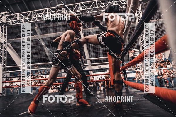 Buy your photos of the eventGolden Cup Pro on Fotop