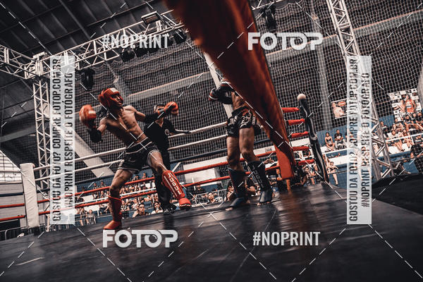 Buy your photos of the eventGolden Cup Pro on Fotop