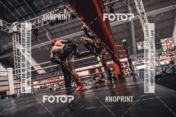 Buy your photos of the eventGolden Cup Pro on Fotop