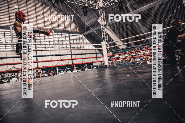 Buy your photos of the eventGolden Cup Pro on Fotop