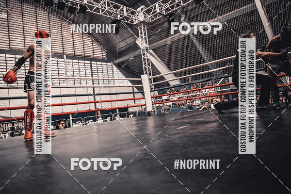 Buy your photos of the eventGolden Cup Pro on Fotop