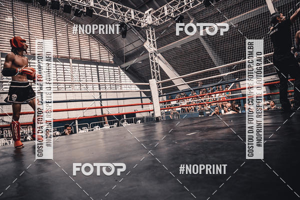 Buy your photos of the eventGolden Cup Pro on Fotop
