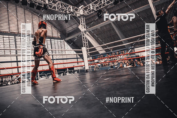 Buy your photos of the eventGolden Cup Pro on Fotop