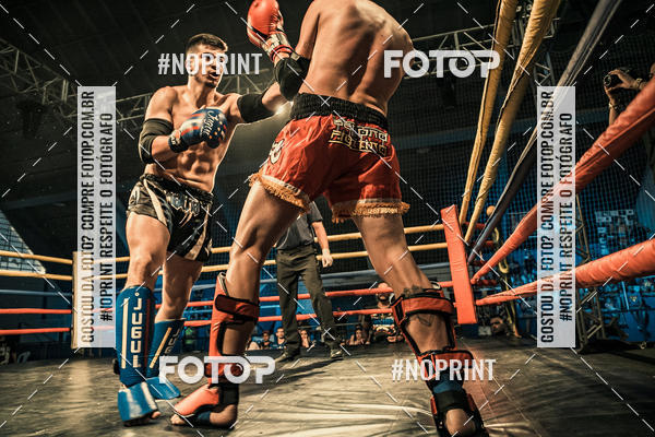 Buy your photos of the eventGolden Cup Pro on Fotop