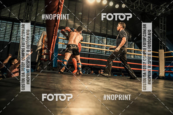 Buy your photos of the eventGolden Cup Pro on Fotop