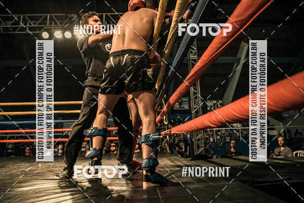 Buy your photos of the eventGolden Cup Pro on Fotop