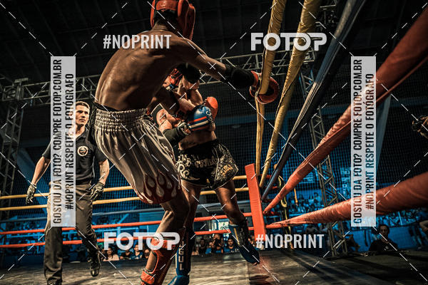 Buy your photos of the eventGolden Cup Pro on Fotop