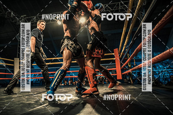 Buy your photos of the eventGolden Cup Pro on Fotop