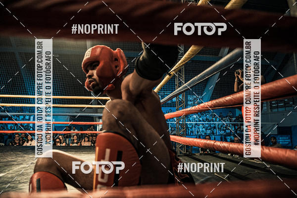 Buy your photos of the eventGolden Cup Pro on Fotop