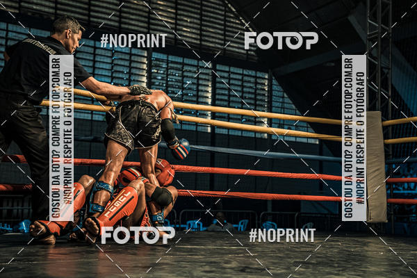 Buy your photos of the eventGolden Cup Pro on Fotop