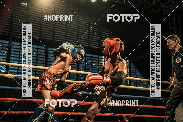 Buy your photos of the eventGolden Cup Pro on Fotop