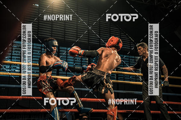 Buy your photos of the eventGolden Cup Pro on Fotop