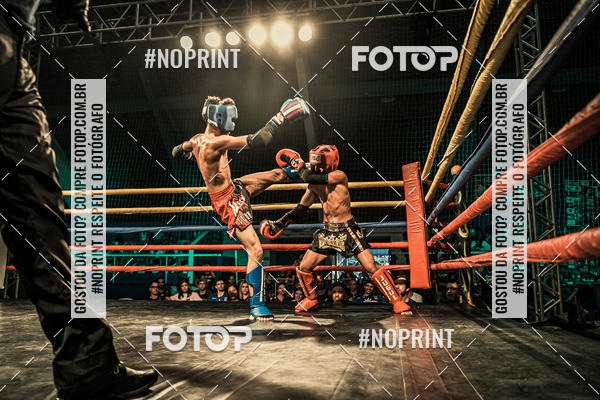 Buy your photos of the eventGolden Cup Pro on Fotop