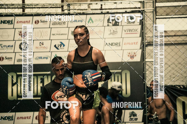 Buy your photos of the eventGolden Cup Pro on Fotop