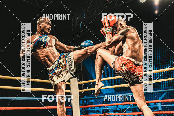 Buy your photos of the eventGolden Cup Pro on Fotop