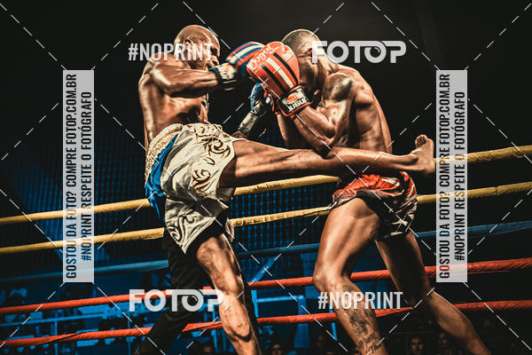 Buy your photos of the eventGolden Cup Pro on Fotop