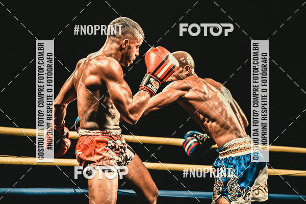 Buy your photos of the eventGolden Cup Pro on Fotop