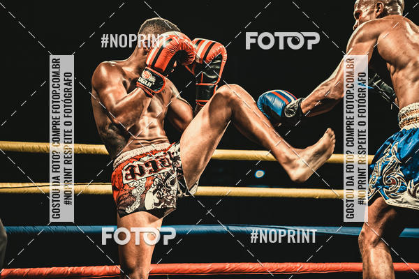 Buy your photos of the eventGolden Cup Pro on Fotop