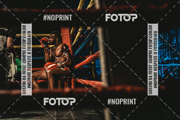 Buy your photos of the eventGolden Cup Pro on Fotop