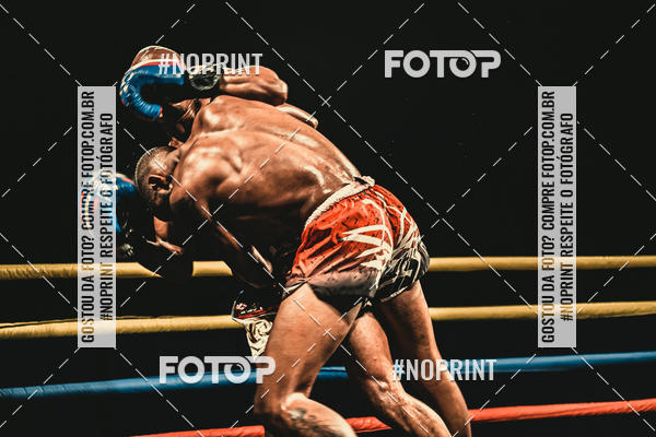 Buy your photos of the eventGolden Cup Pro on Fotop
