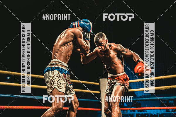 Buy your photos of the eventGolden Cup Pro on Fotop