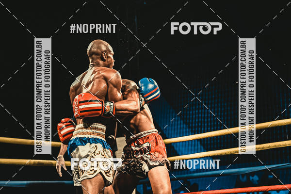 Buy your photos of the eventGolden Cup Pro on Fotop