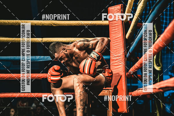 Buy your photos of the eventGolden Cup Pro on Fotop