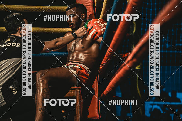 Buy your photos of the eventGolden Cup Pro on Fotop