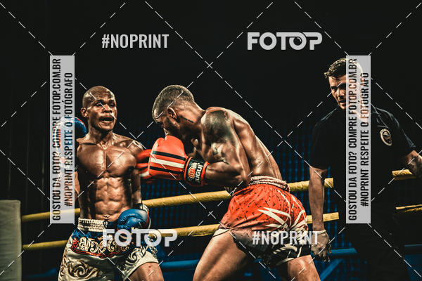 Buy your photos of the eventGolden Cup Pro on Fotop