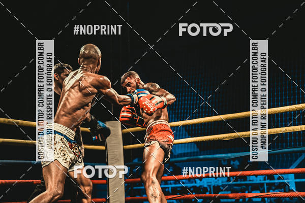 Buy your photos of the eventGolden Cup Pro on Fotop