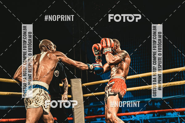Buy your photos of the eventGolden Cup Pro on Fotop
