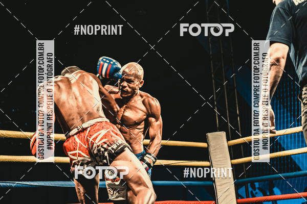 Buy your photos of the eventGolden Cup Pro on Fotop