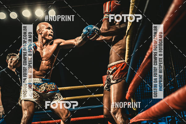 Buy your photos of the eventGolden Cup Pro on Fotop