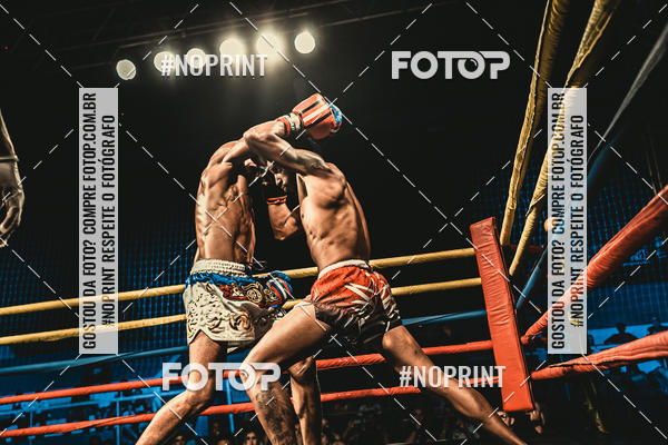 Buy your photos of the eventGolden Cup Pro on Fotop