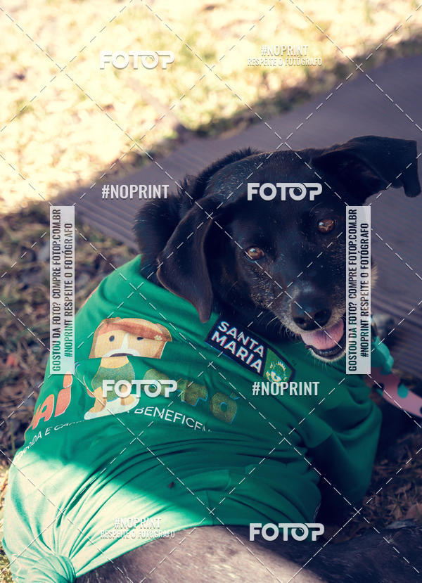 Buy your photos of the eventVai Tot Santa Maria on Fotop