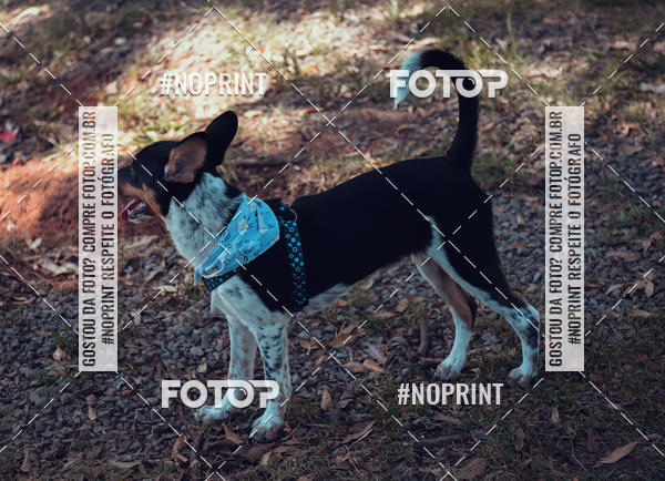 Buy your photos of the eventVai Tot Santa Maria on Fotop