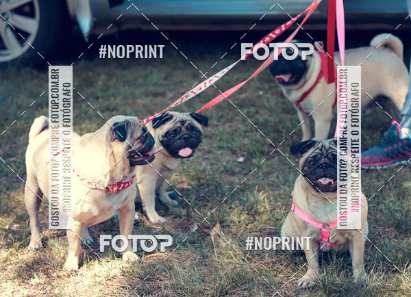 Buy your photos of the eventVai Tot Santa Maria on Fotop