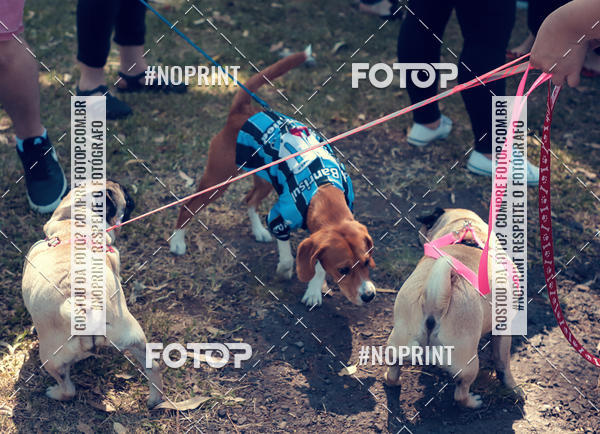 Buy your photos of the eventVai Tot Santa Maria on Fotop