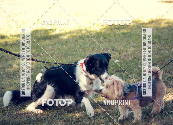 Buy your photos of the eventVai Tot Santa Maria on Fotop