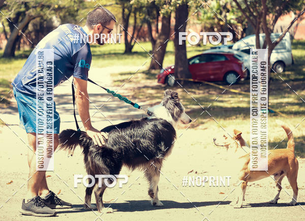 Buy your photos of the eventVai Tot Santa Maria on Fotop