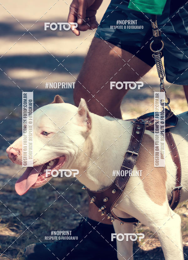 Buy your photos of the eventVai Tot Santa Maria on Fotop