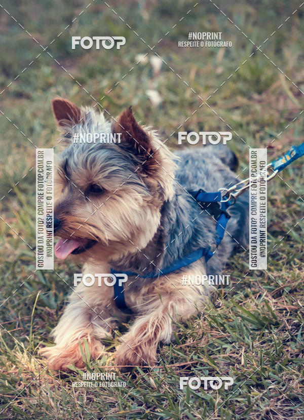 Buy your photos of the eventVai Tot Santa Maria on Fotop