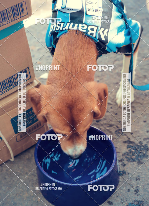 Buy your photos of the eventVai Tot Santa Maria on Fotop