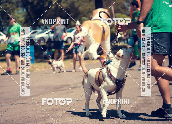 Buy your photos of the eventVai Tot Santa Maria on Fotop