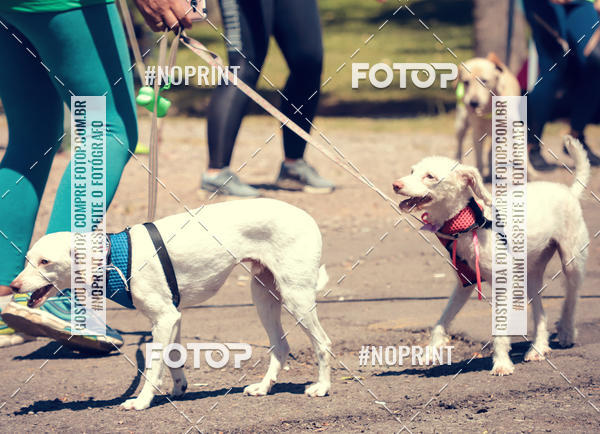 Buy your photos of the eventVai Tot Santa Maria on Fotop