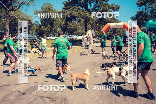 Buy your photos of the eventVai Tot Santa Maria on Fotop