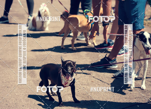 Buy your photos of the eventVai Tot Santa Maria on Fotop