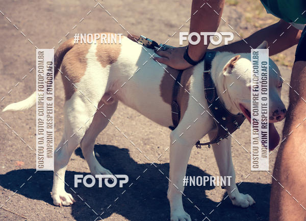 Buy your photos of the eventVai Tot Santa Maria on Fotop