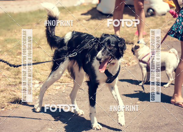 Buy your photos of the eventVai Tot Santa Maria on Fotop